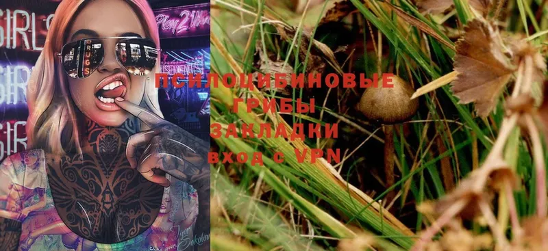 Галлюциногенные грибы Magic Shrooms  Гуково 